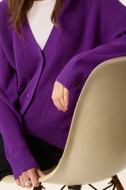 Des Petit Hauts Gilet Artimus VIOLETTE New