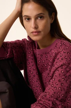 Des Petit Hauts Sweat Hanita LEO BRUYERE Discount